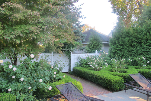 Boxwood Parterre